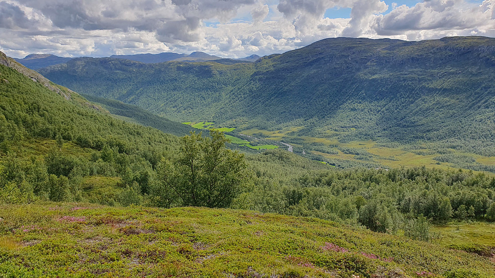 Jeg har akkurat kommet over tregrensa, og utsikten har åpnet seg. Her ser vi tilbake ned i Heimdalen, hvor jeg parkerte.