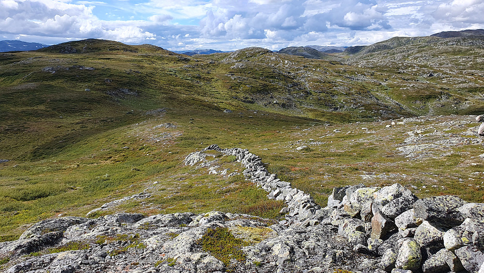 Her står jeg ved steinmuren jeg passerte under oppstigningen til Fuglehaugnøse Nord (1348), og ser tilbake mot Galdenøse (1323), som er til venstre i bildet.