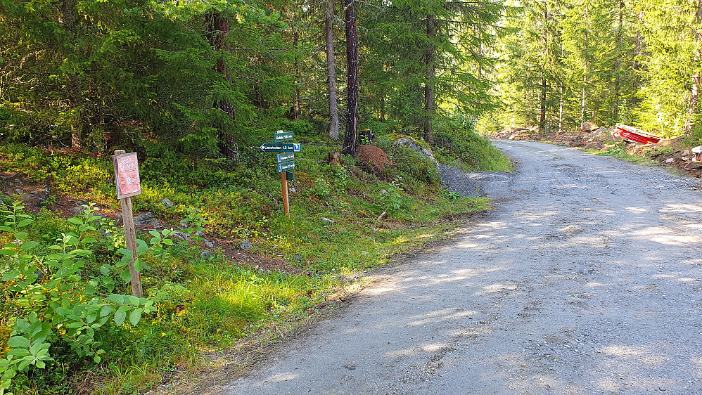 I veikrysset ved Vindfallet, hvor stien til Lisbetnøbbi (650) starter. 