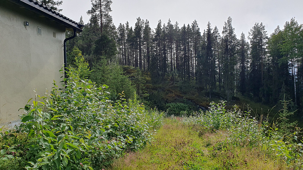 Jeg går over fortoppen, hvor det var en bygning og en høy mast. Selve Lisbetnøbbi (650) er haugen bak.