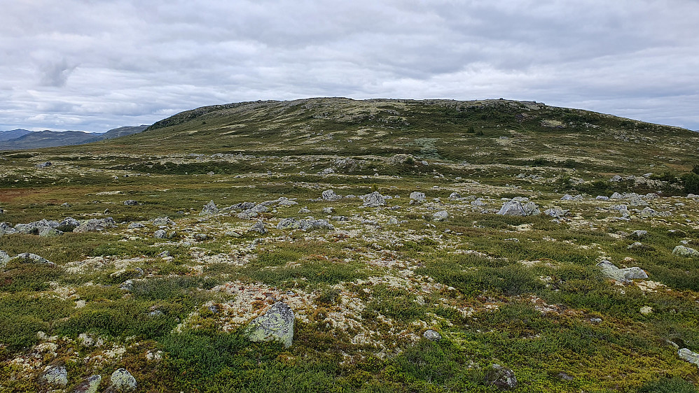 Sønstevasshovda (1206) sett fra sørøst. 