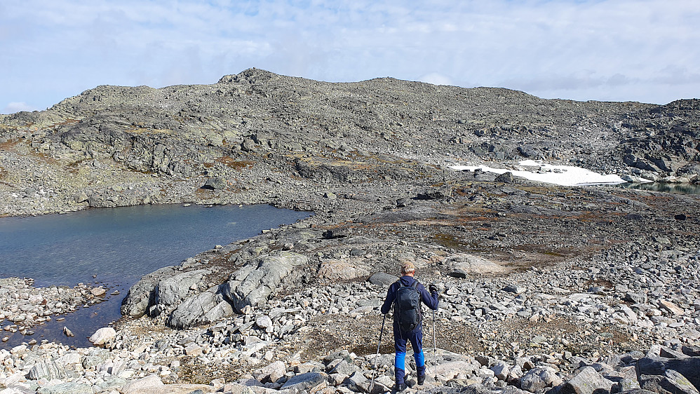 Endelig er det straks bare en liten motbakke igjen ... Sørøst for Einarsvatnet (1709) med sine to jevnhøye toppunkter nærmer seg veldig. Den til høyre er høyest.