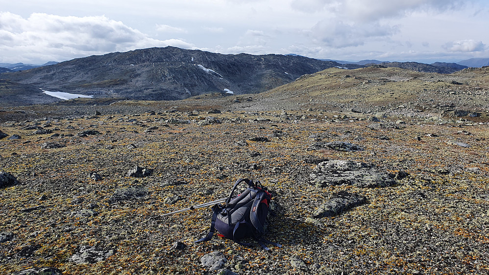 Jeg er på toppen av Skavlehaugane (1660), hvor det var veldig lett og trivelig terreng å gå i. Fjellet som dominerer i bakgrunnen er Lærdalseinaren (1715).