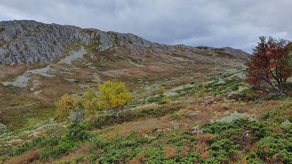 Bekkedalen mellom Skurvefjellet Sør (1428) og Myljofjell (1238). Stien gjennom dalen ses tydelig på andre siden av bekken. Bildet er tatt mot Myljofjell.