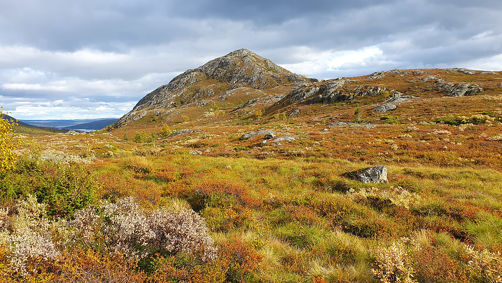 Jeg står nede ved myra mellom Myljofjell (1238) og Nutelihøgde (1155). Fjellet på bildet er imidlertid Såta (1257).