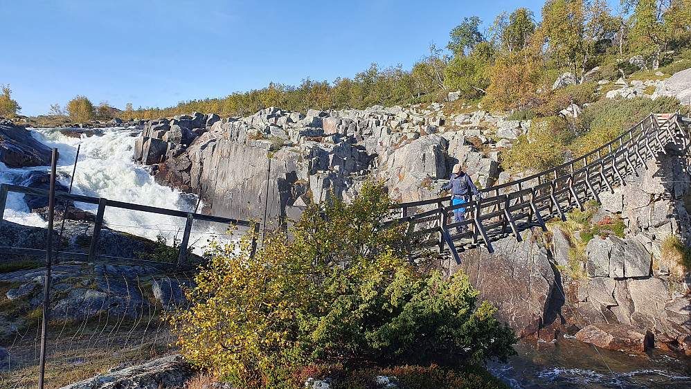 Erling på hengebrua over Lågen.