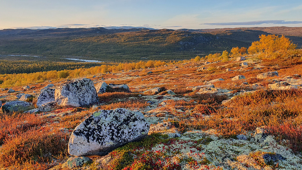 Lav kveldssol idet vi nærmer oss bjørkeskogen på vei nedover mot Lågen. Parkeringsplassen og bygningen ved siden av ses nede i dalen midt i bildet.