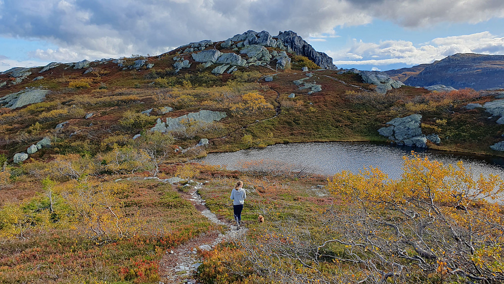 Vi nærmer oss toppen på Rognlifjellet (959), som er i bakgrunnen midt i bildet. Her oppe var stiene stort sett tørre og fine.