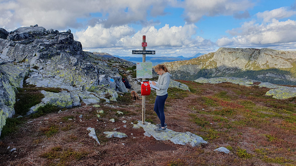 Frida skriver oss inn i turboka på Rognlifjellet (959). Toppunktet er oppe til venstre. Fjellet lengst til høyre i bakgrunnen er Himingen (1066).