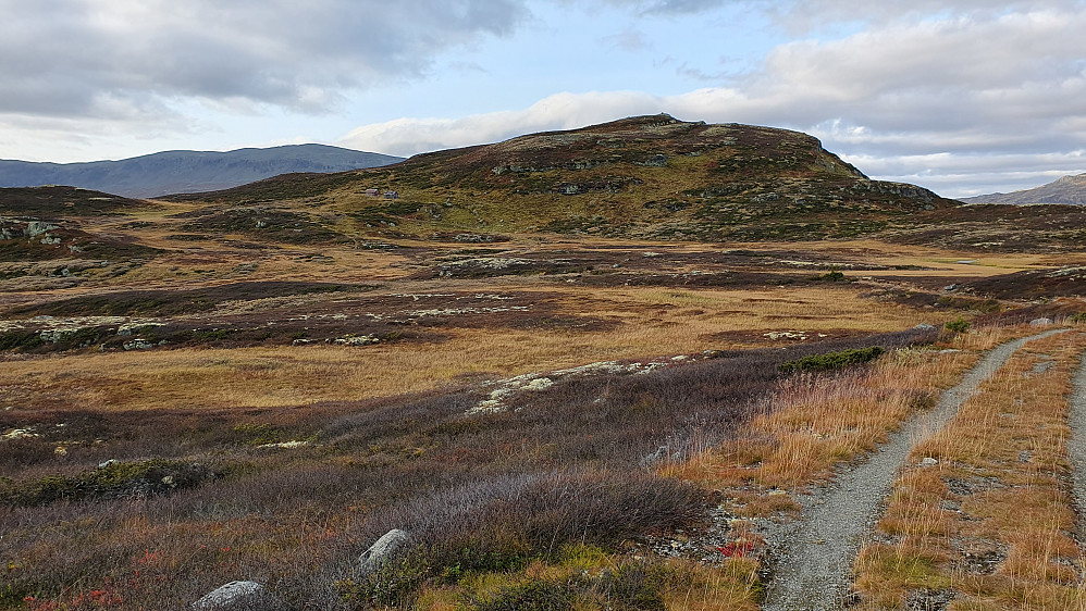 Jeg følger kjerreveien mot høyeste Hesthovda (1235), som er nokså midt i bildet. Hovdestølen ses til venstre på fjellet.