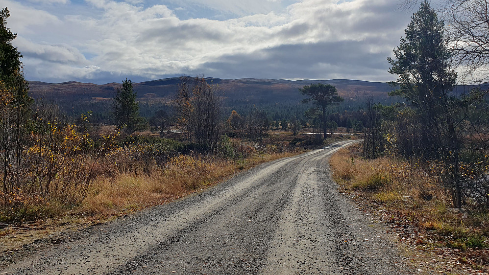 Ved starten på Larssetervegen, hvor vi ser rett mot Steinsetfjellet. Selve toppen ligger litt lengre bak og innpå fjellet.