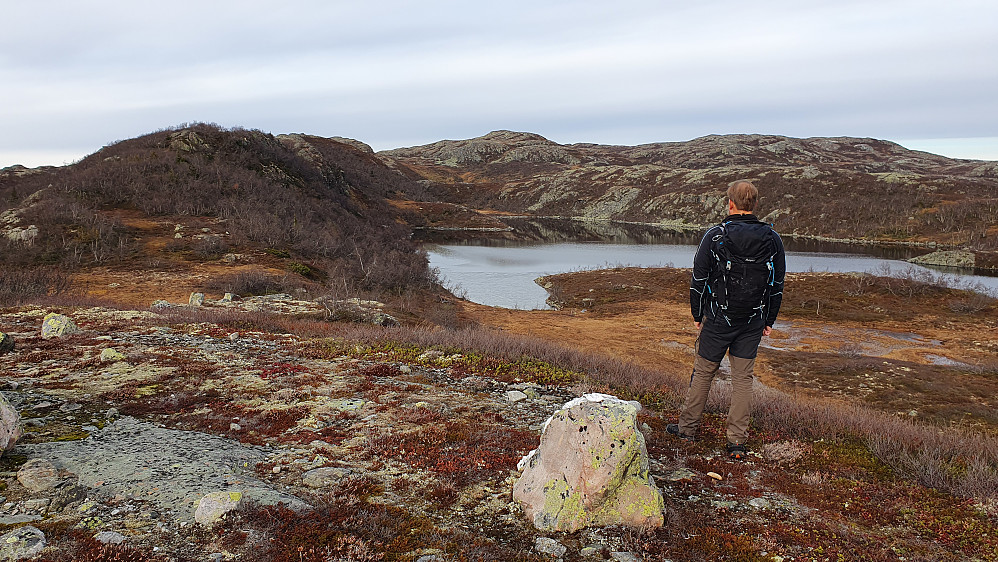Øyvind på det første toppunktet (1040 moh) vi gikk over på ryggen mot Krosstjønnhovdun. Vannet på bildet er Røyetjønn, med Krosstjønnhovdun (1166) bakerst i midten.