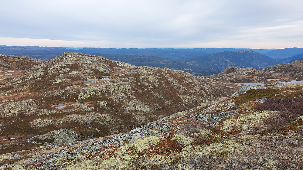 Vi står på høyeste Krosstjønnhovdun (1166) og ser mot Ø/SØ. Toppen nærmest til venstre er neste mål, Krosstjønnhovdun Øst (1150).