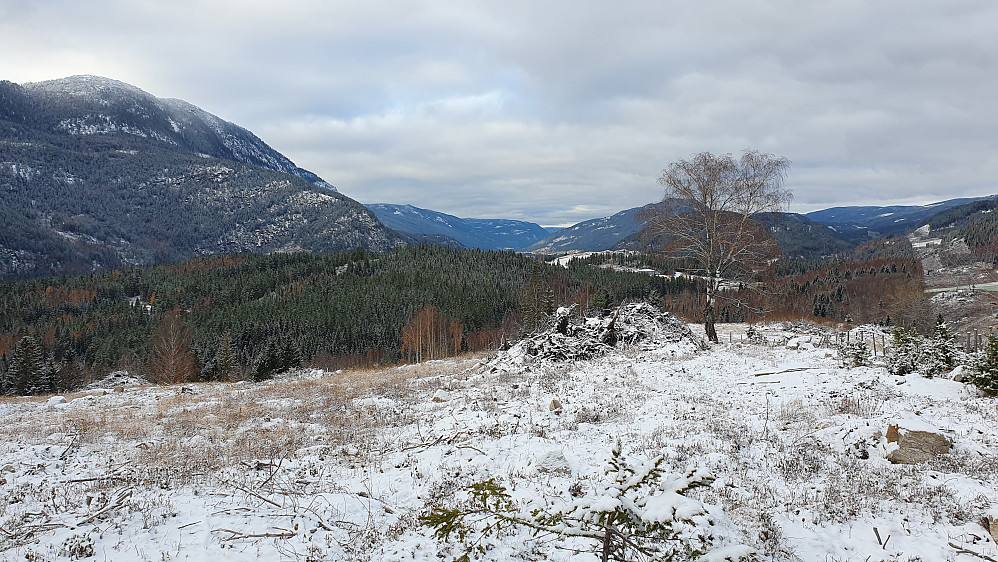 God utsikt oppover Hallingdal fra det hogde området like øst for gården Hovde. Toppen oppe til venstre er Beia (1081).