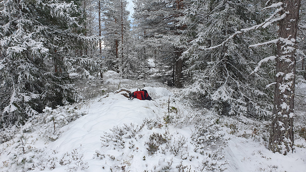 På det ene toppunktet som kniver om å være høyest på Benterudnatten (479). Kulen som ses 30 meter lengre bak midt i bildet er nok aller høyest, så vidt.