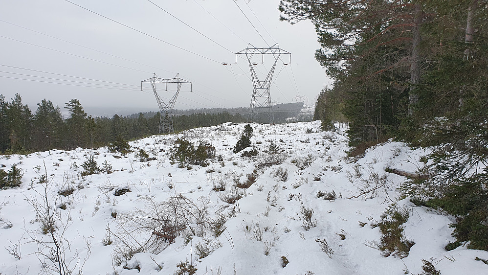 Mye vandring under høyspentlinjer på turen. Her er jeg ca 600 meter NØ for toppen av Anbjørgåsen, og ser kraftlinja forsvinne mot SØ.