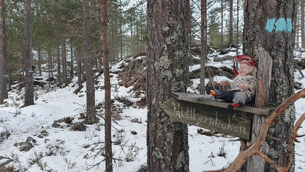 På et skilt i et kryss øst for Midttjern satt denne karen. Den blåmerkede stien jeg fulgte ses til venstre.