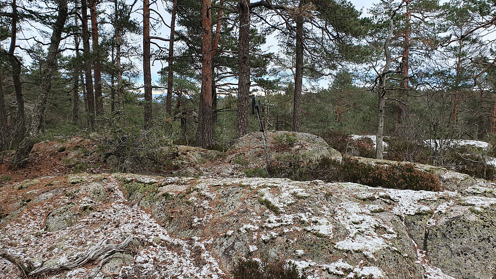Høyeste punkt på Vestfjellet (204). Åsen som skimtes bak trærne til høyre i bildet, er Tråkfjell (212).