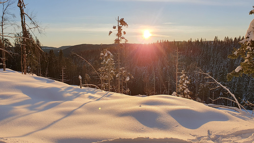 Lav januarsol, sett fra skiløypa like nedenfor Ringvollåsen.