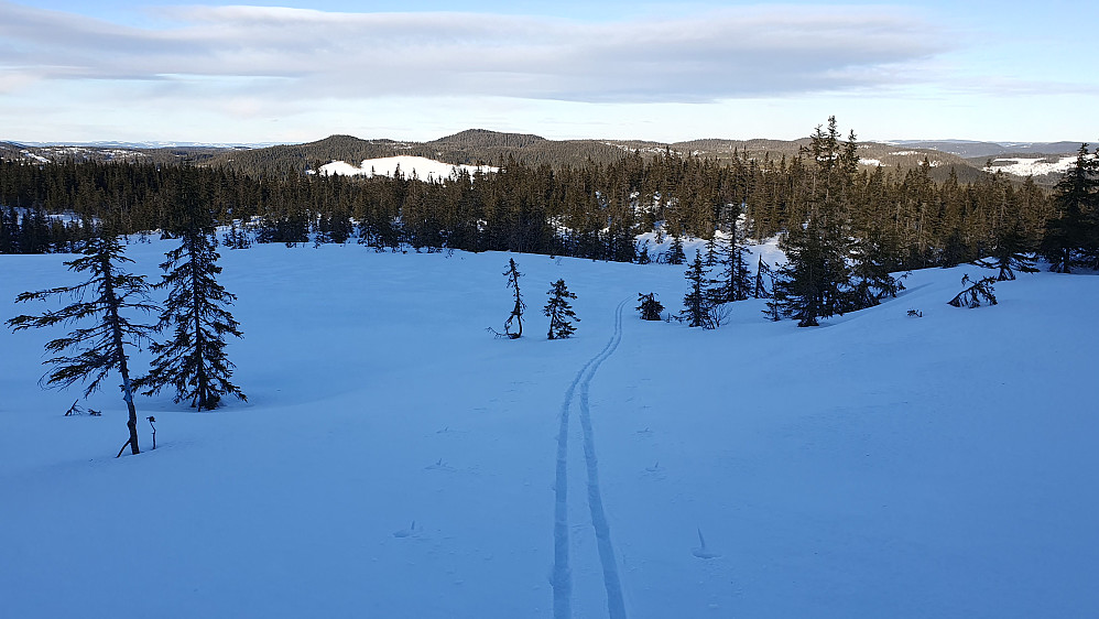 Jeg følger et myrområde på vei oppover mot Framstadsæterfjellet (793). Bildet tatt nordover. Den høyeste åsen bak og nesten i midten, er Lushaugen (812).