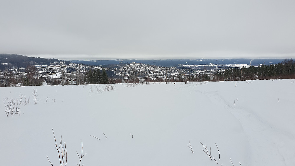 I hogstfeltet på starten av turen, med utsikt ned mot Kongsvinger. Den oppkjørte gåtraseen, labbeløypa, ses til høyre.