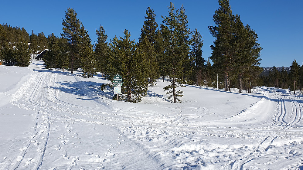 Her var det på med skiene. Jeg begynte skituren ved å gå opp til venstre her. På slutten av turen kom jeg i sporene helt til høyre.