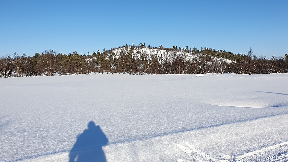 Jeg står i den preparerte løypa som går mellom Bjørkehovda og Mosehovda. Her ser jeg mot sistnevnte topp, som var neste turmål.