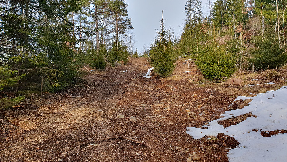 I nedre del var traktorveien noe gjørmete, men frosten på natta sørget for at det ikke hadde løst seg opp altfor mye.