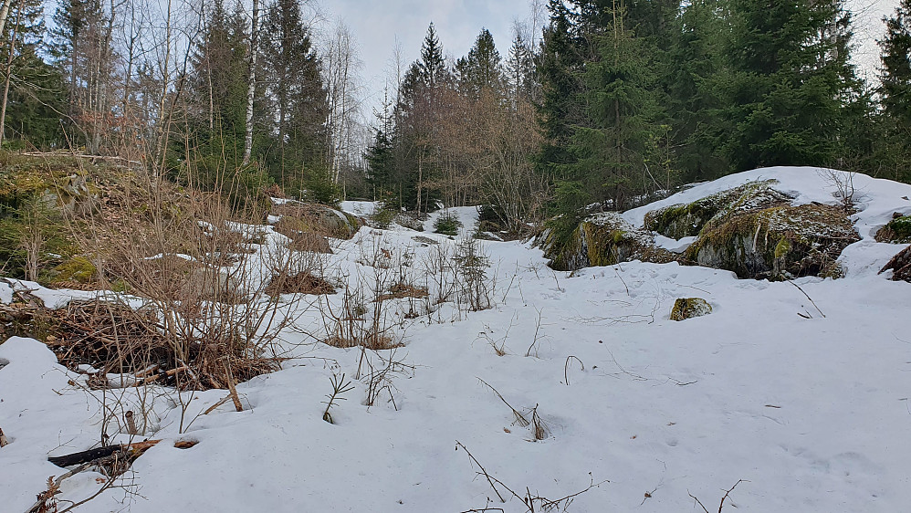 Høyere oppe og i skyggepartier lå det mye snø der stien gikk. Her på ca 200 meters høyde.
