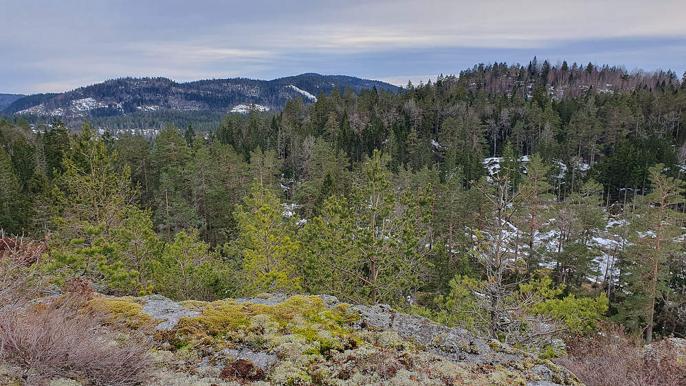 Jeg står ved kanten på sørstupet på Brudalskollen (241), hvor utsikten var veldig god. Til høyre her ser vi Siljannibben (261). Lengre bak og ca midt i bildet er Fjerdingen (360).