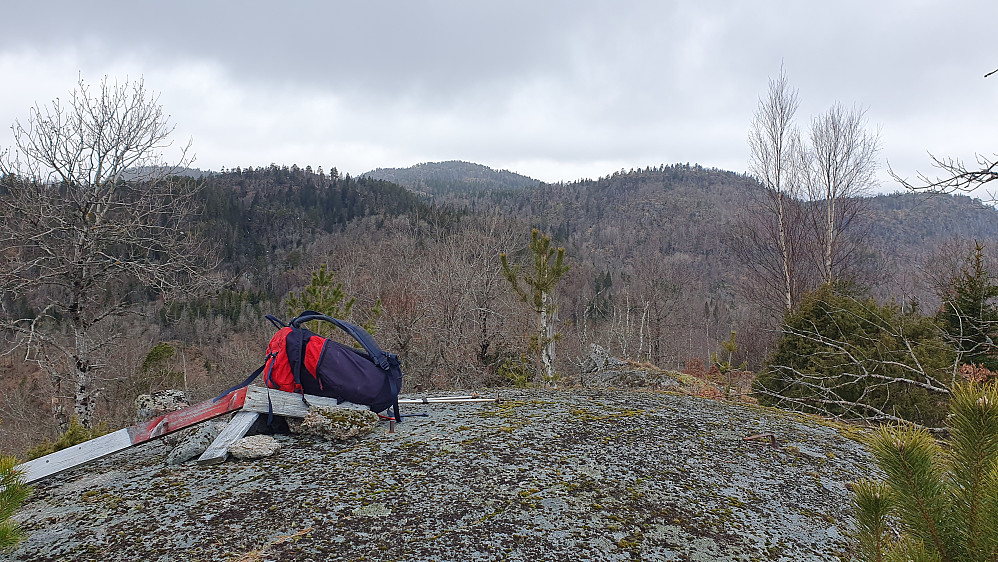 På toppen av Hanakne (254). I bakgrunnen og midt i bildet ses Fjerdingen (360).