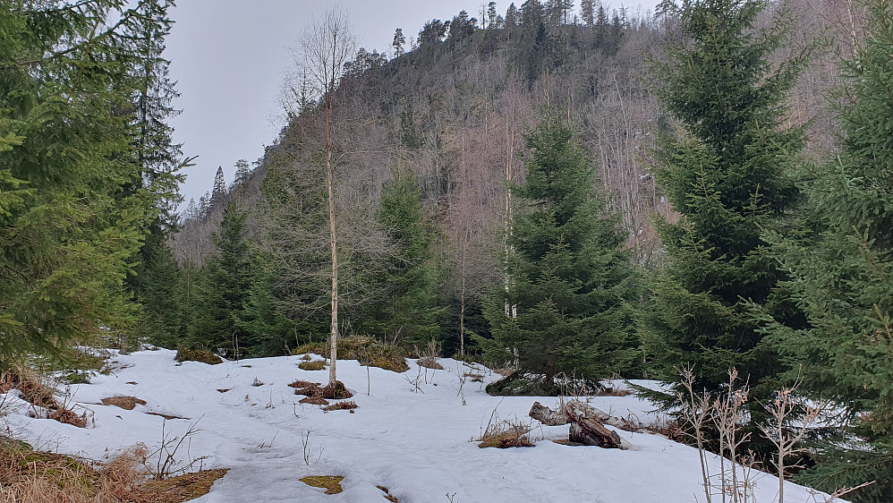 Her skal jeg forlate den snødekte traktorveien, som fortsetter innover til venstre. Bak og midt i bildet ses Storeberg (293).