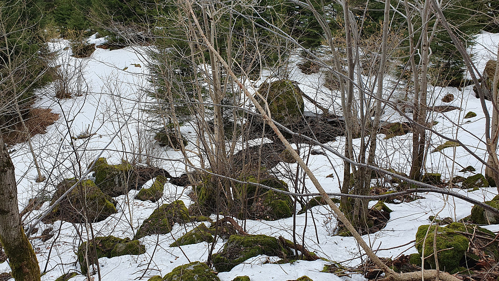 Jeg står helt nederst i renna jeg skulle følge opp mot Storeberg, og ser tilbake på det litt knotete området hvor jeg krysset en bekk og gikk på snø blant sleipe steiner.