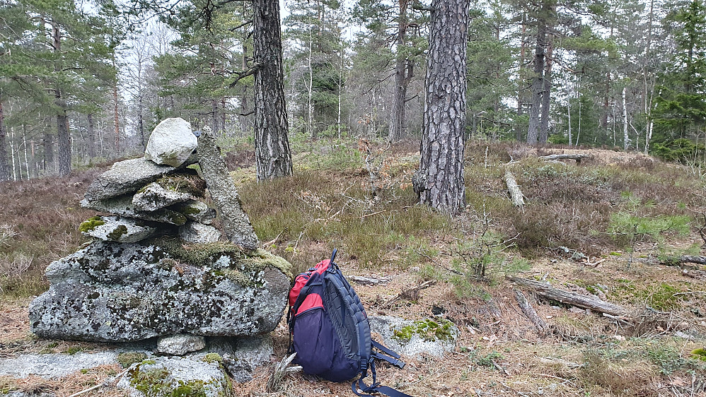 Toppvarden på Storeberg (293). Noen meter lengre bak midt i bildet, er høyeste punktet.