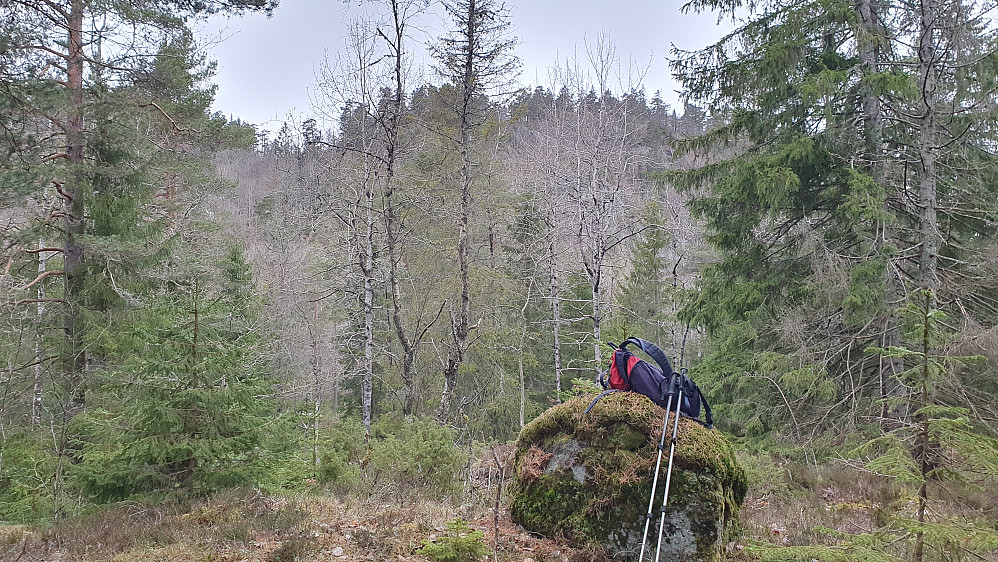 På høyden Søndre Skarva (205). I bakgrunnen ses Storeberg (293).