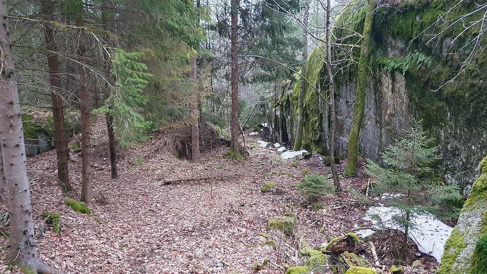 På vei ned fra Søndre Skarva (205), litt før jeg nådde traktorveien. Mye kløfter med bratte vegger her, men ruta jeg fulgte ned var ganske lett å gå.