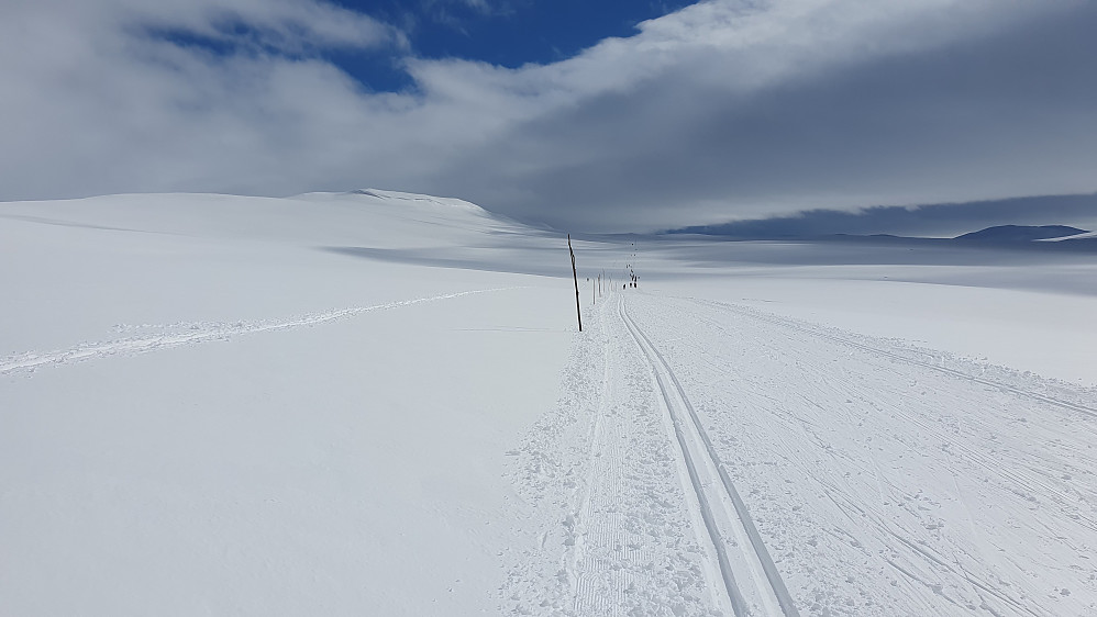 Skisporene mot Tuva. Plutselig kom sola, og forholdene ble langt bedre, så lenge det varte. Monsbunuten (1322) ses litt til venstre i bildet.
