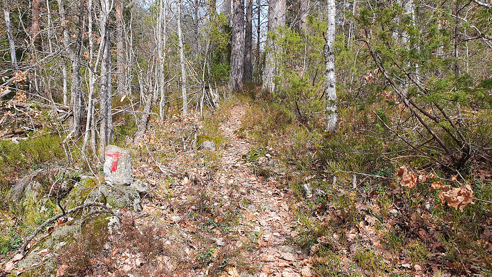 Stien mot Bambleåsen (272), med en og annen rød "T".