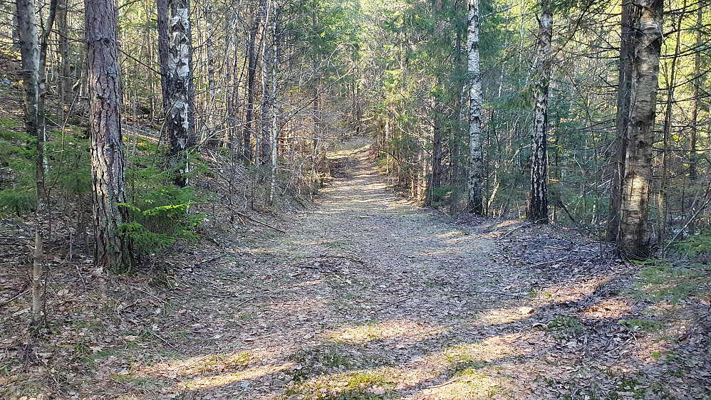 Første del av traktorveien/kjerreveien var veldig lett å gå på. Her er det litt før jeg kom til kraftlinja.