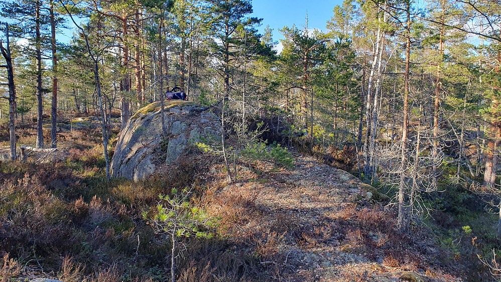 Sekken min ligger på det ene toppunktet på Skottjennkollane, der hvor det står 170.1 moh på detaljert kart. Den andre jevnhøye knausen er lengre bak i skogen, midt i bildet.