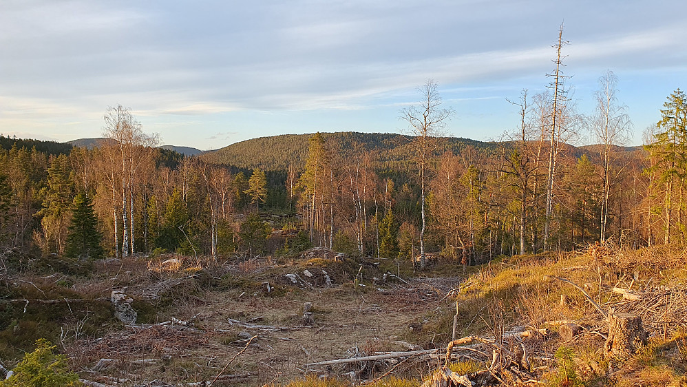 Litt før jeg nådde toppen av Høgås (152) fikk jeg utsikt tilbake mot Store Latås (241), som er midt i bildet.