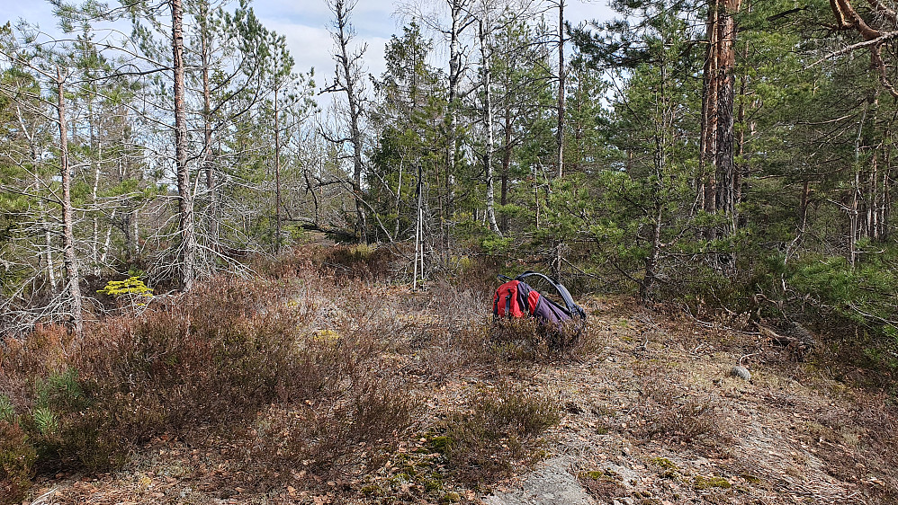På toppen av Eikelundheia (246).
