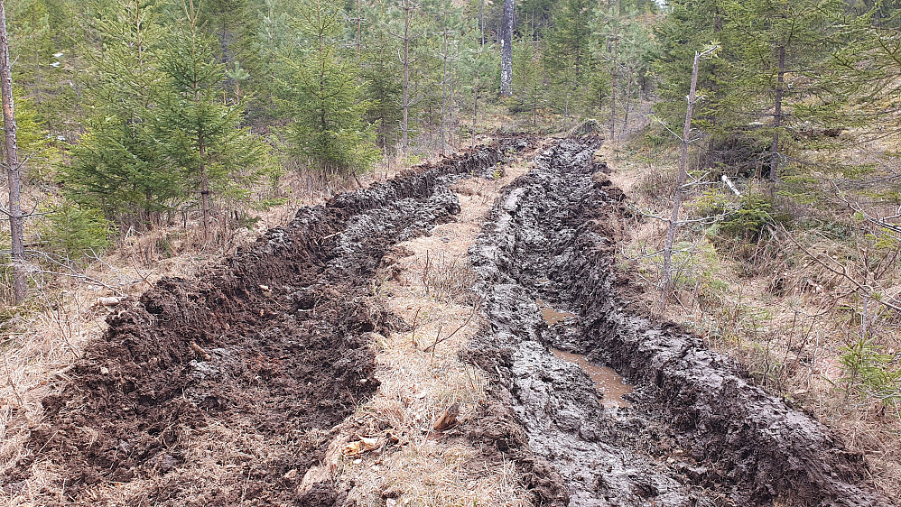 Den ekstremt gjørmete traktorveien jeg fulgte oppover mot Veståsen (367). Det var fra ca 300 meters høyde at veien ble slik.