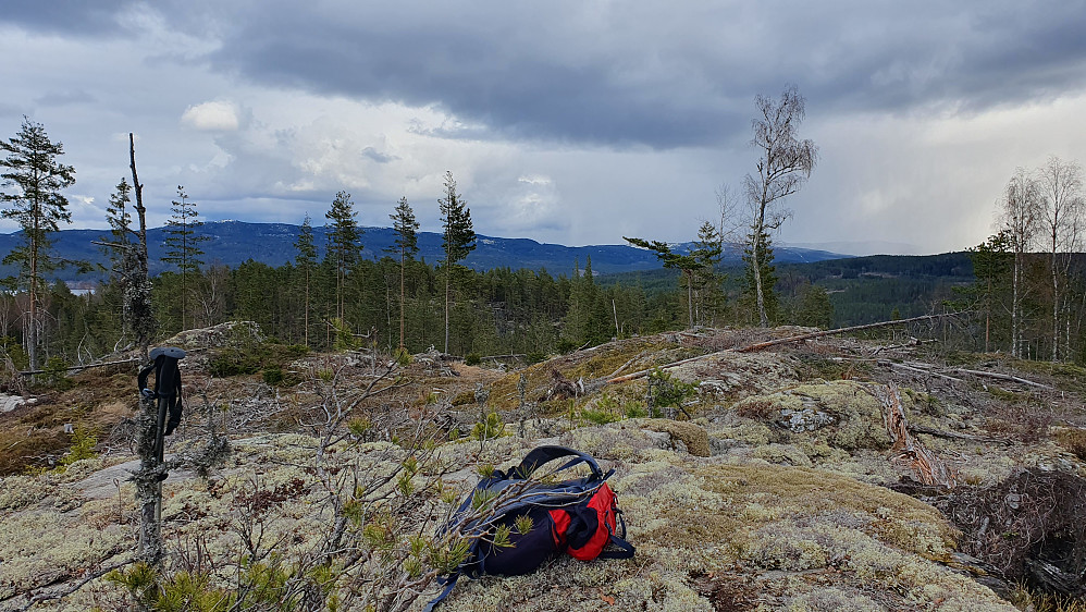 På toppen av Mørkufs Vest (331). Bildet tatt østover. Den noe lavere åsen litt lengre bak til venstre er Mørkufs Øst (324).