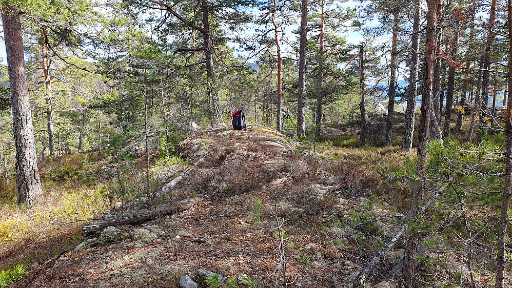 Toppunktet på Øygardsfjellet (349).