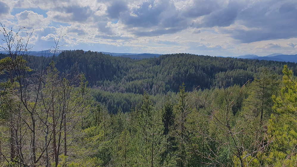 På vei ned fra Øygardsfjellet (349) stoppet jeg opp på en stein hvor det var utsikt mot mine neste turmål: Skjellafjellet (342) litt til høyre, og Knarren (347) til venstre.