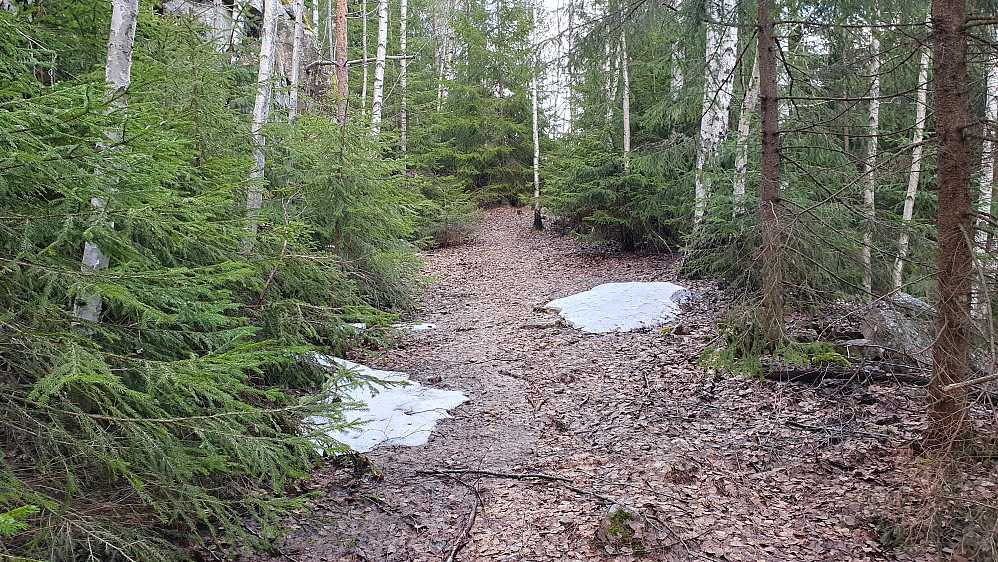 Jeg har nettopp kommet inn på stien som gikk oppover mot Skjellafjellet (342) fra Øygardsdalen.