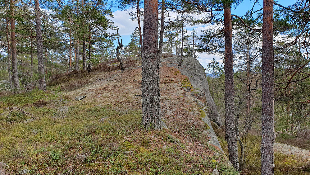 Toppen av Knarren (347) er øverst på denne bergknausen.