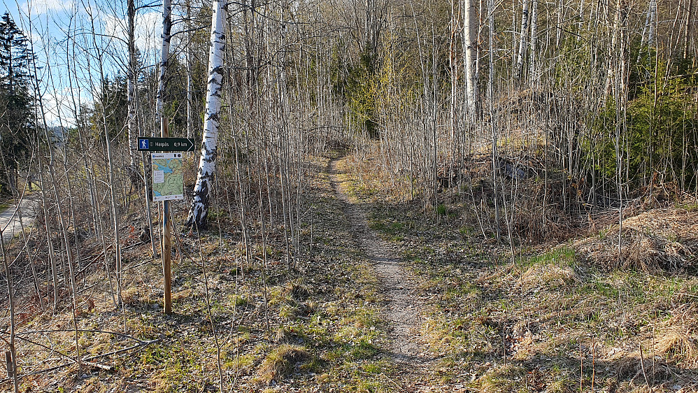 Her starter stien til Harpås (209).