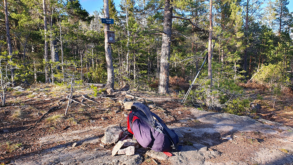 På toppen av Harpås (209).
